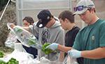 Humboldt Hydro Farms Greenhouse